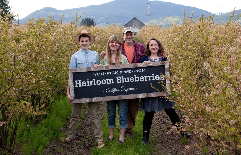 Bow Hill Blueberries - Our Farm