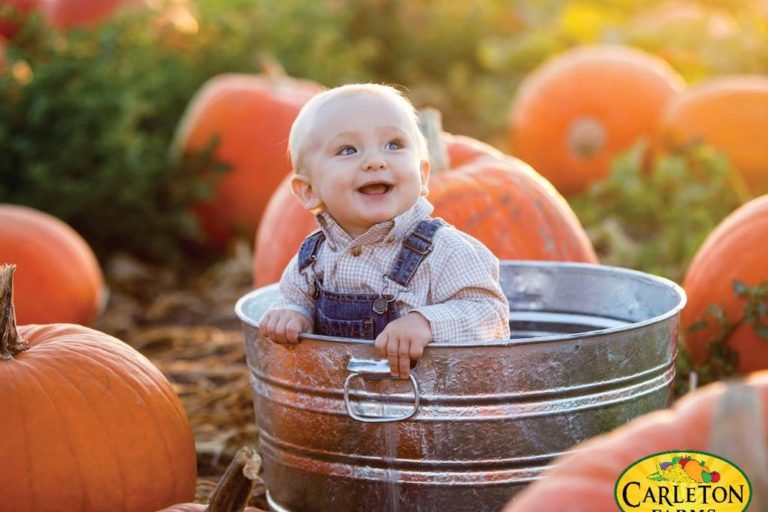 pumpkin patch