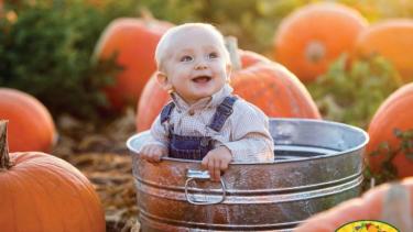pumpkin patch